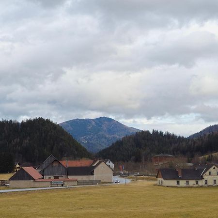 Ferienwohnung Haus Schweighofer Neuberg an der Mürz Exterior foto